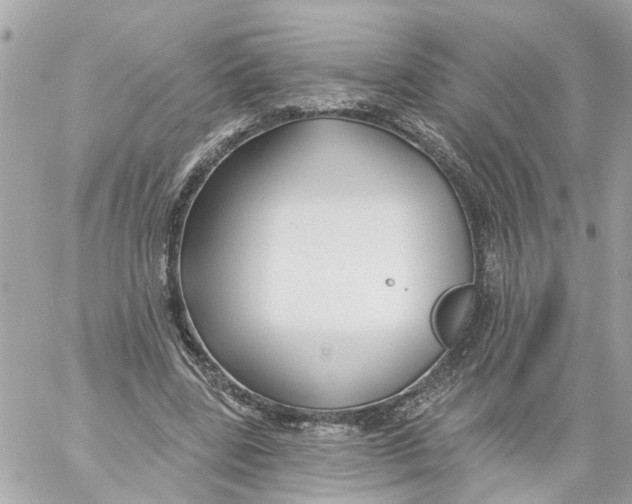 X0000059080539200511041824