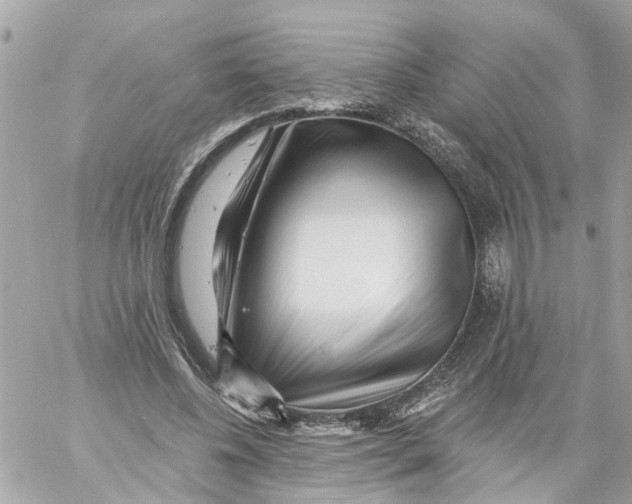 X0000059080540200511041824