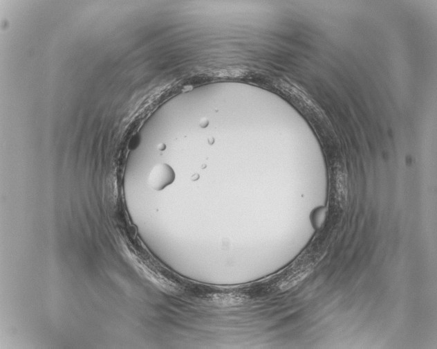 X0000059080541200511041824