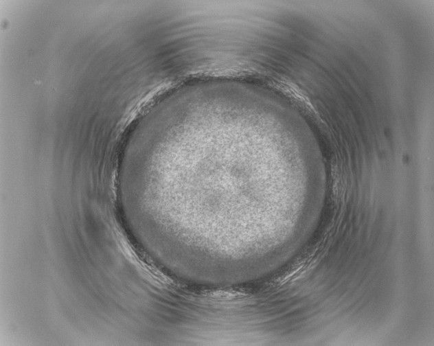 X0000059080542200511041824