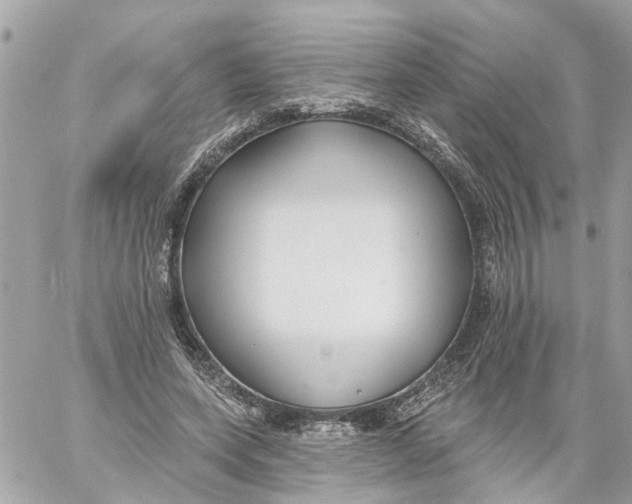 X0000059080543200511041824