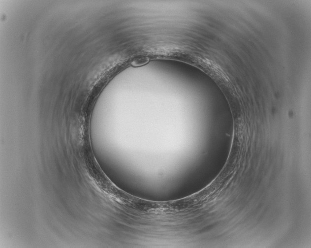 X0000059080544200511041824