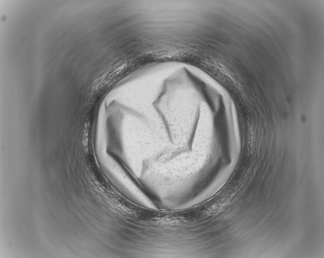 X0000059080545200511041824