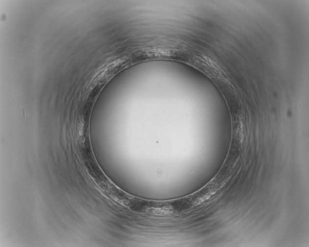 X0000059080548200511041824