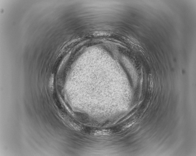 X0000059080550200511041824