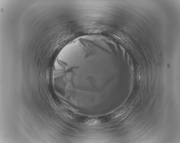 X0000059080551200511041824