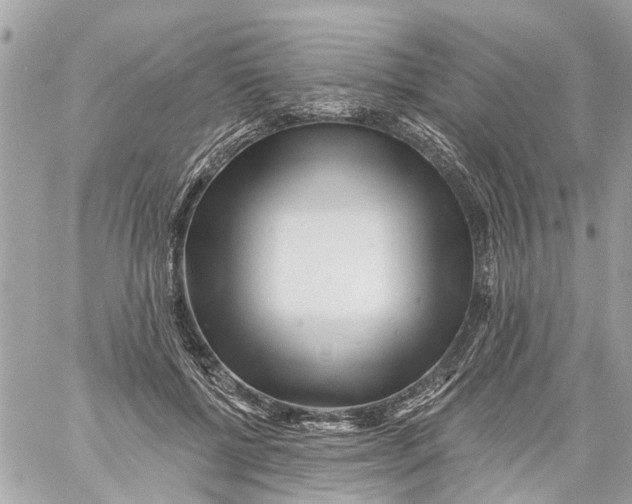 X0000059080552200511041824