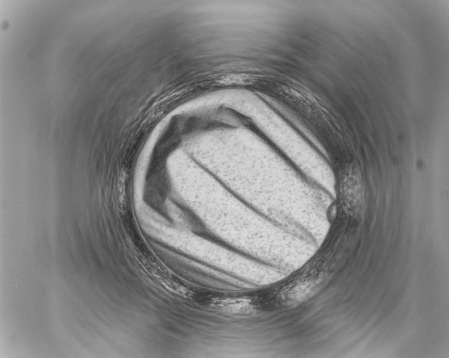 X0000059080554200511041824