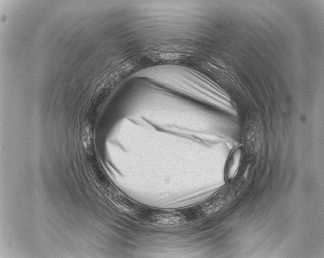 X0000059080555200511041824