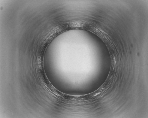 X0000059080556200511041824