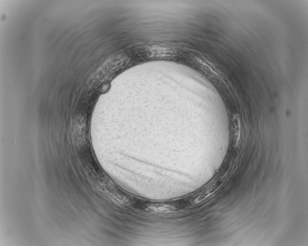 X0000059080557200511041824