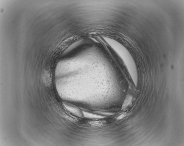 X0000059080558200511041824