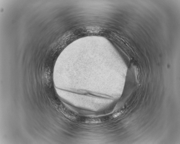 X0000059080559200511041824