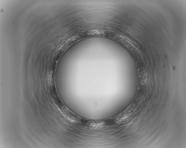 X0000059080560200511041824