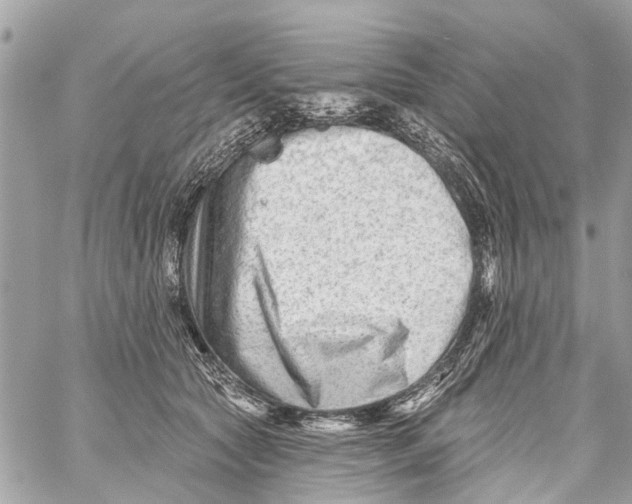 X0000059080561200511041824