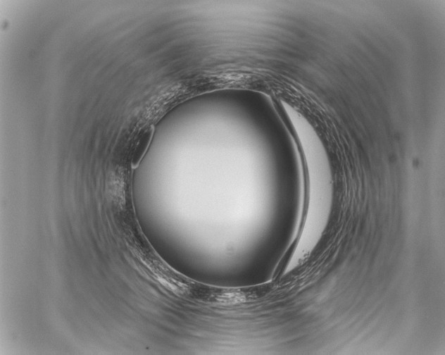 X0000059080562200511041824