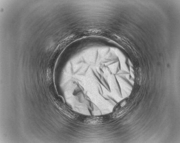 X0000059080563200511041824