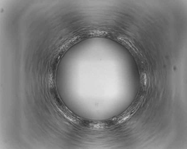 X0000059080564200511041824