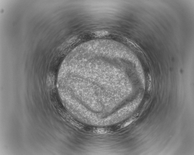 X0000059080565200511041824