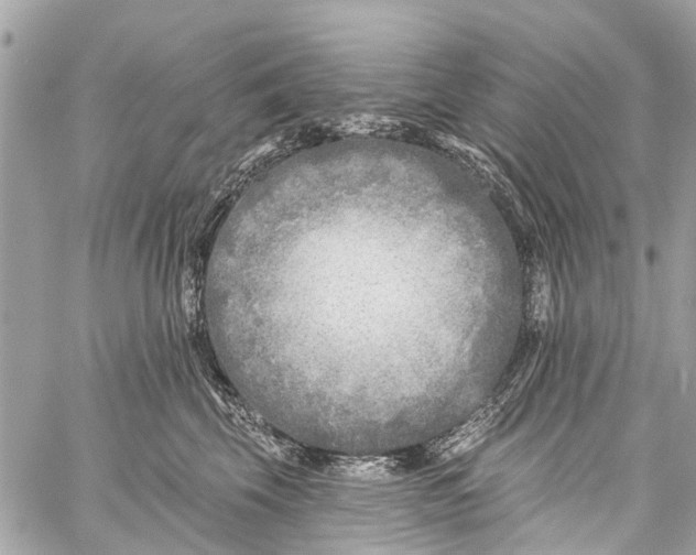 X0000059080569200511041824