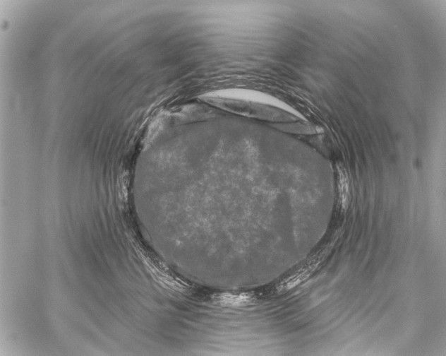 X0000059080570200511041824