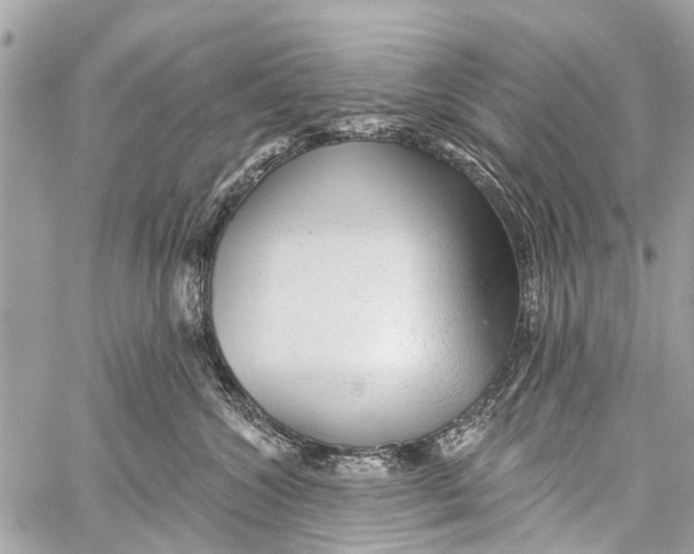 X0000059080572200511041824