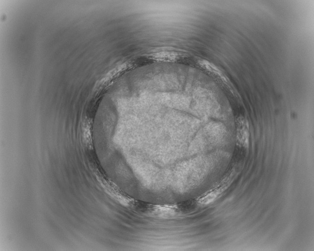 X0000059080573200511041824