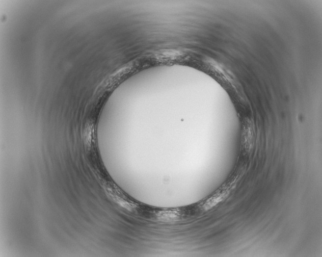 X0000059080574200511041824