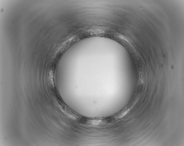 X0000059080575200511041824