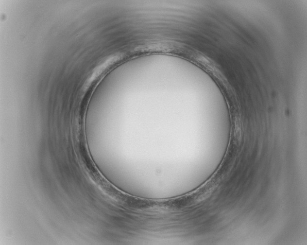 X0000059080578200511041823