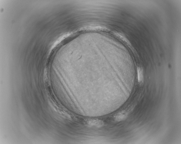 X0000059080579200511041823