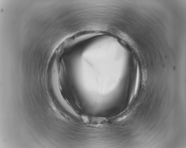 X0000059080580200511041823