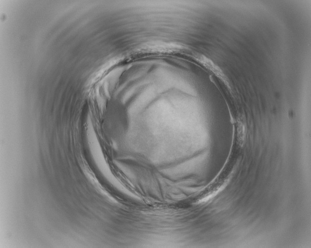 X0000059080581200511041823