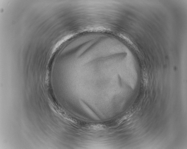 X0000059080583200511041823