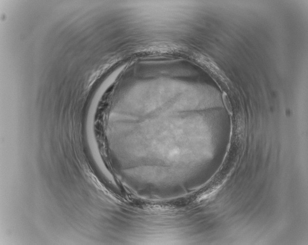 X0000059080585200511041823