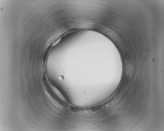 X0000059080586200511041823