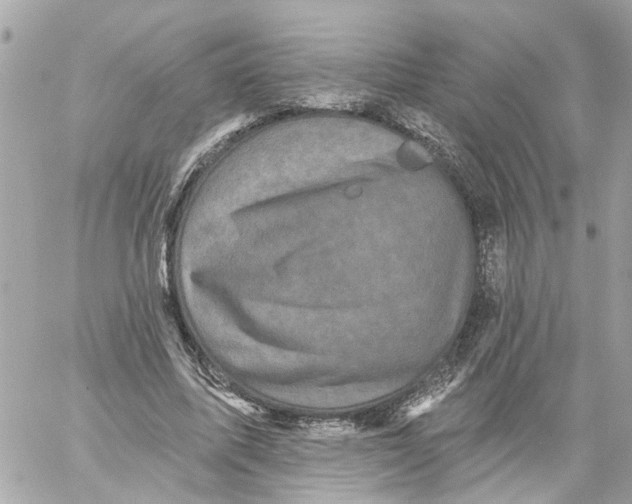 X0000059080587200511041823