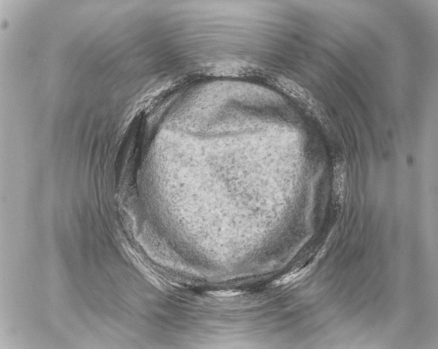 X0000059080589200511041823