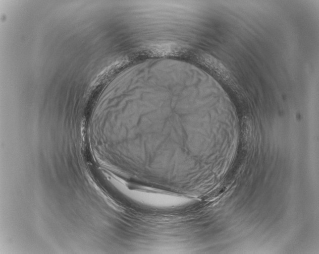 X0000059080590200511041823