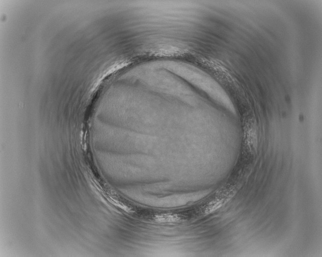 X0000059080591200511041823