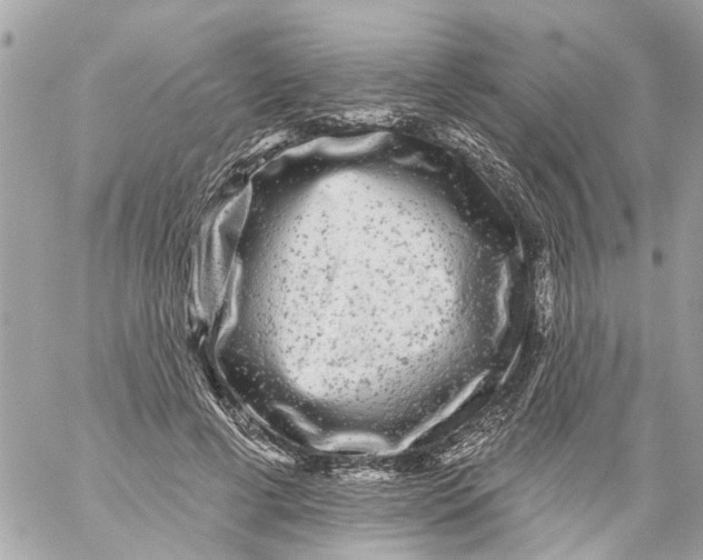 X0000059080593200511041823