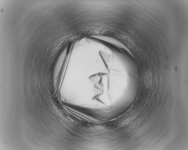 X0000059080594200511041823