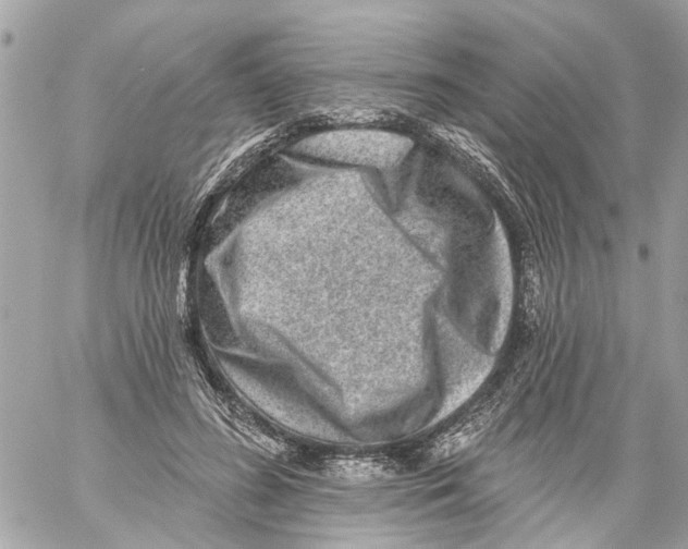 X0000059080596200511041823