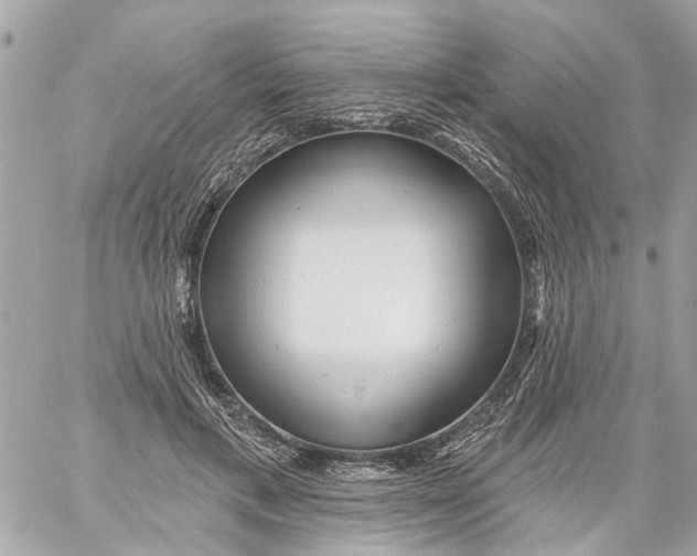 X0000059080597200511041823