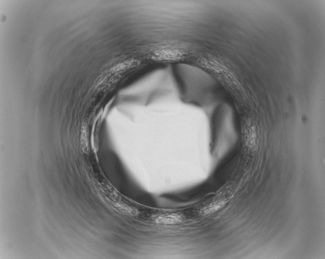 X0000059080599200511041823