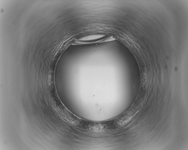 X0000059080600200511041823