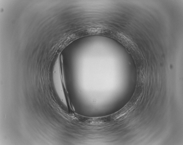 X0000059080601200511041823