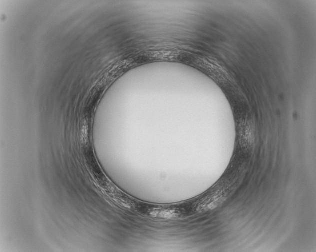 X0000059080602200511041823