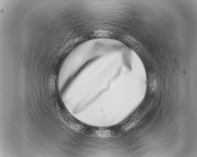 X0000059080603200511041823