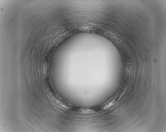 X0000059080605200511041823